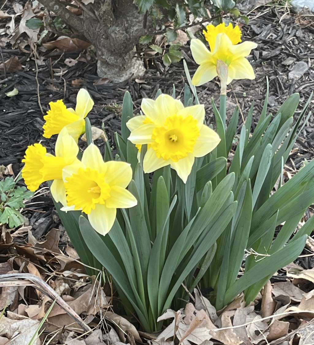 Remembering Great Times