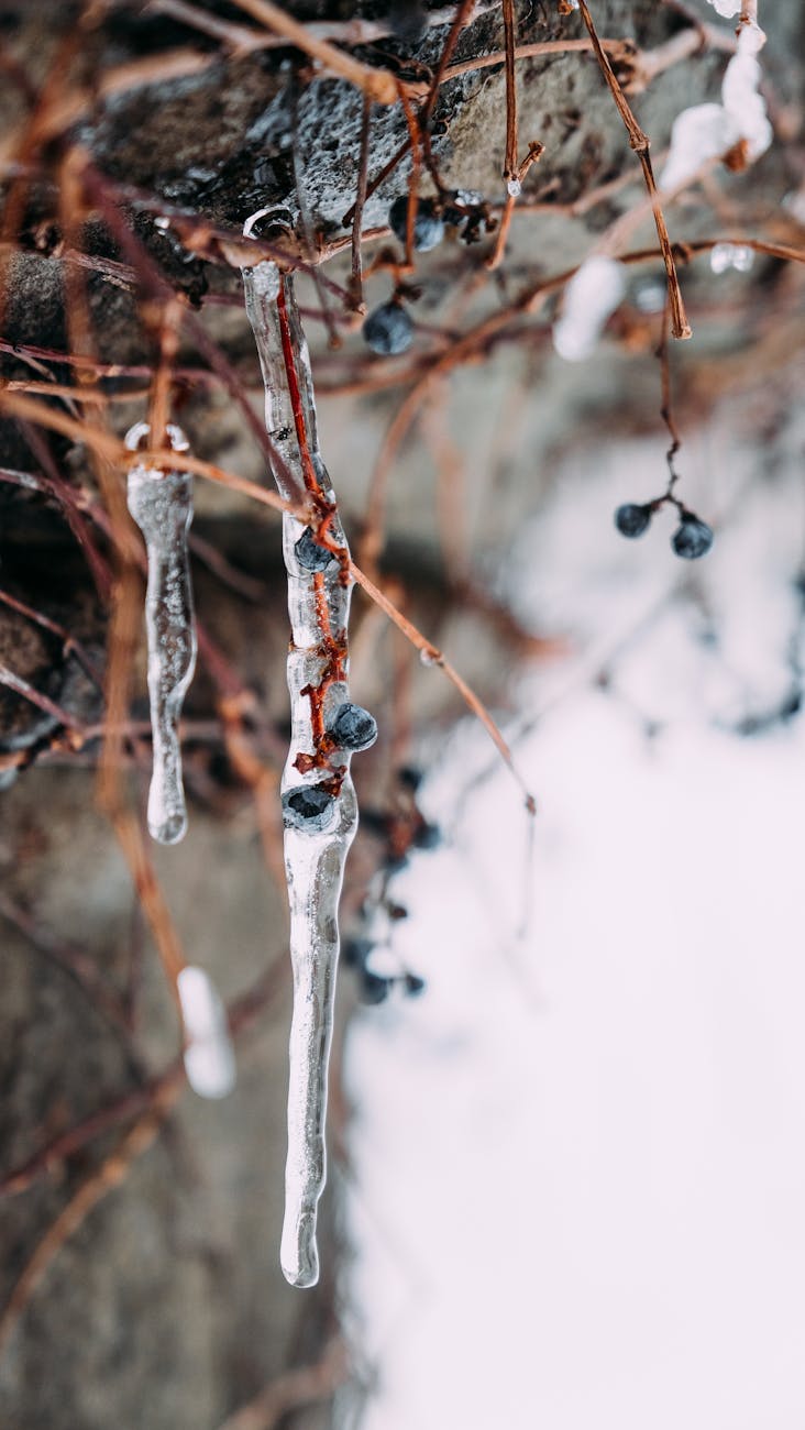 Troubling Conversation