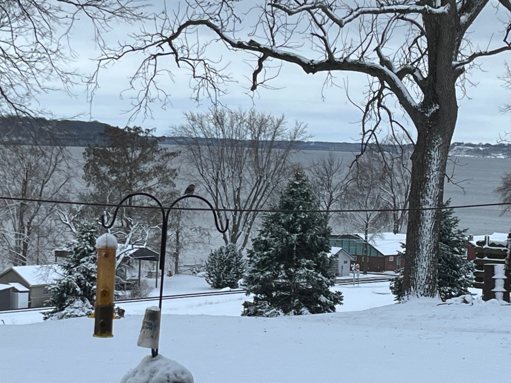 Sunday Funday? No, It’s a Snow&nbsp;Day!